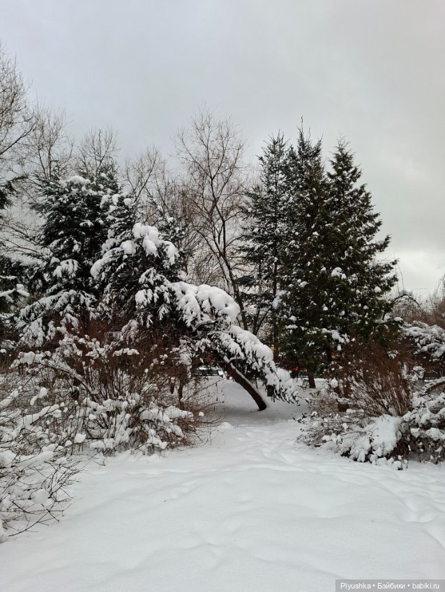 После снегопада — Игрушки Labubu (Лабубу) и The Monsters: Pop Mart (фото 10)