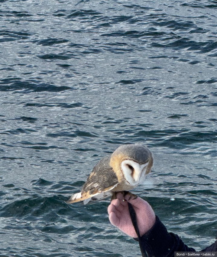 Озеро Байкал 3 января😊 — Туризм и путешествия: фотоотчеты из поездок (фото 9)