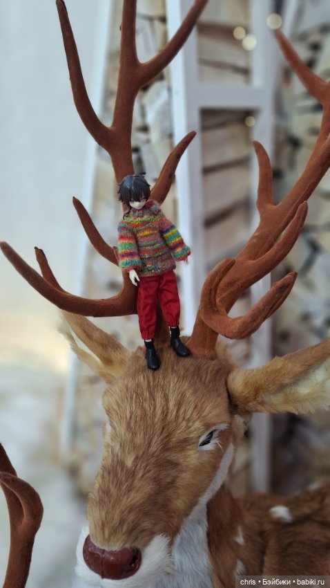 Руми гуляет — Разные шарнирные куклы (не БЖД): редкие (фото 3)