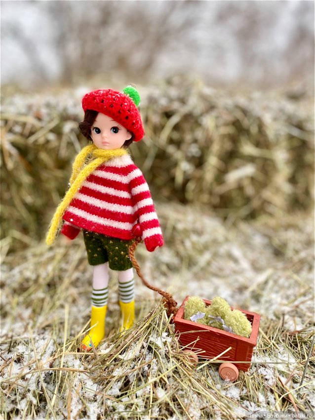 Рождественская прогулка с Ликкой (фото 3)