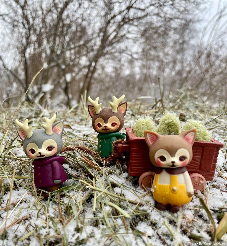 Рождественская прогулка с Ликкой