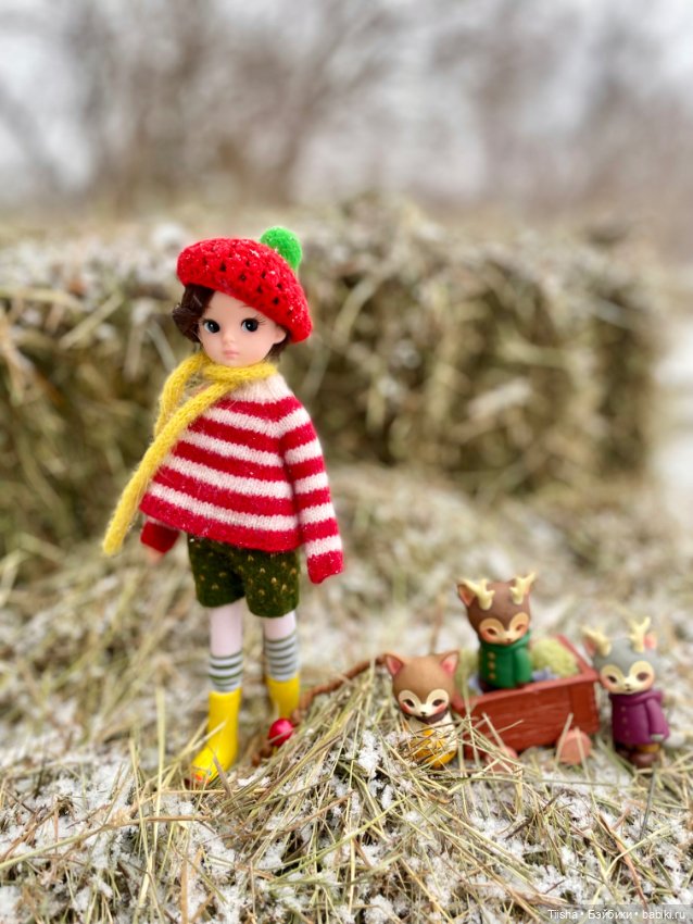 Рождественская прогулка с Ликкой (фото 8)