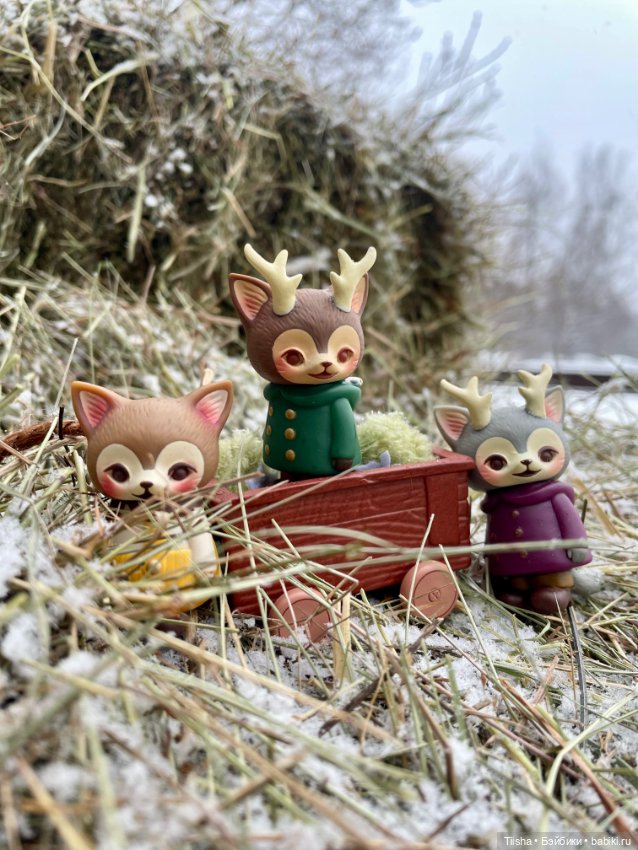 Рождественская прогулка с Ликкой