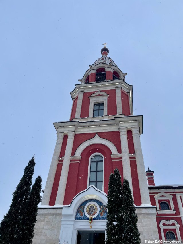 Рождественская прогулка с Ликкой