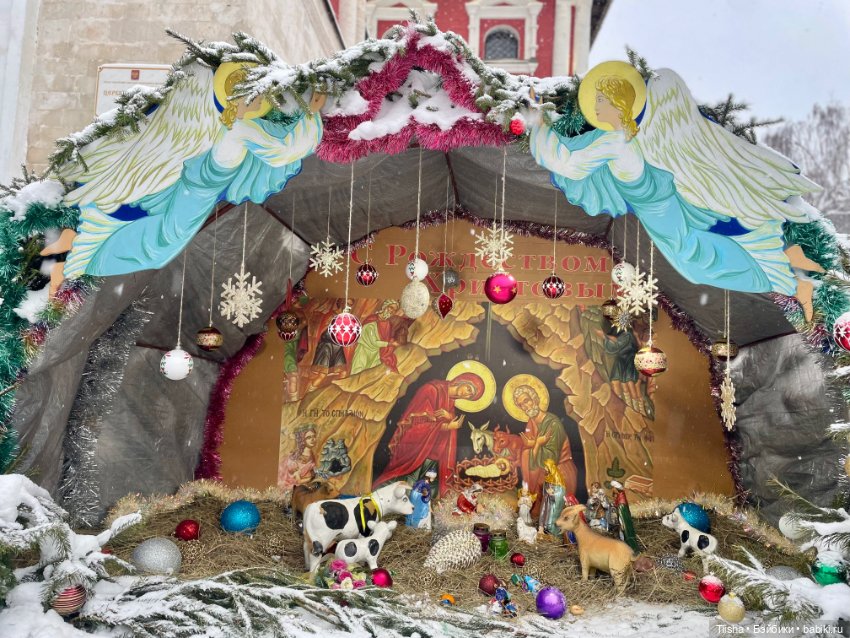 Рождественская прогулка с Ликкой