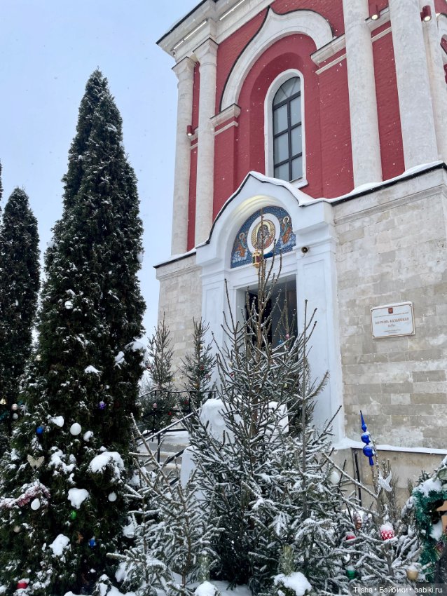 Рождественская прогулка с Ликкой