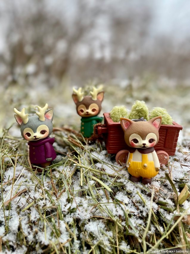 Рождественская прогулка с Ликкой