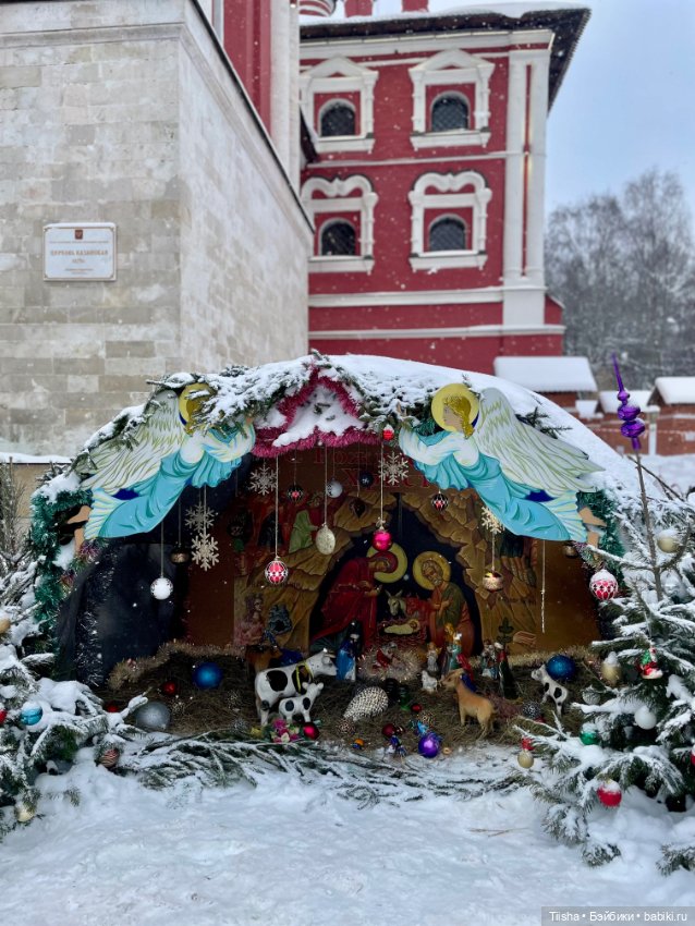 Рождественская прогулка с Ликкой