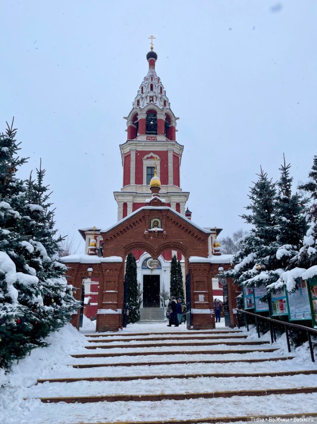 Рождественская прогулка с Ликкой