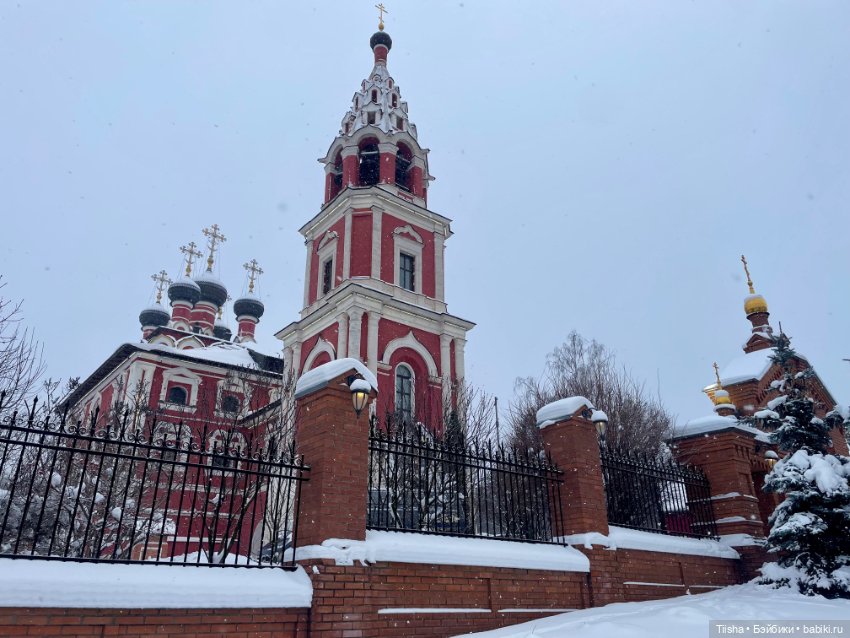 Рождественская прогулка с Ликкой