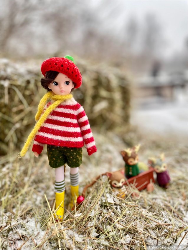 Рождественская прогулка с Ликкой (фото 7)