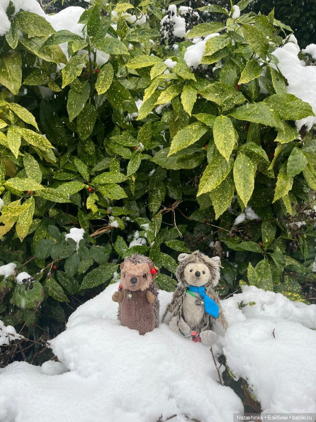 Музыкальная история 184 — Туризм и путешествия: фотоотчеты из поездок (фото 6)