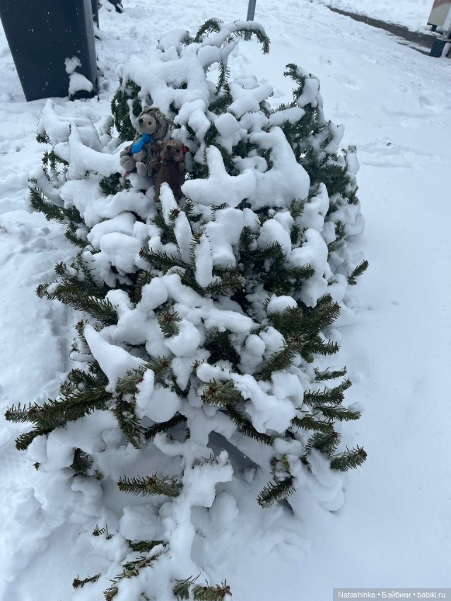 Музыкальная история 184 — Туризм и путешествия: фотоотчеты из поездок (фото 8)