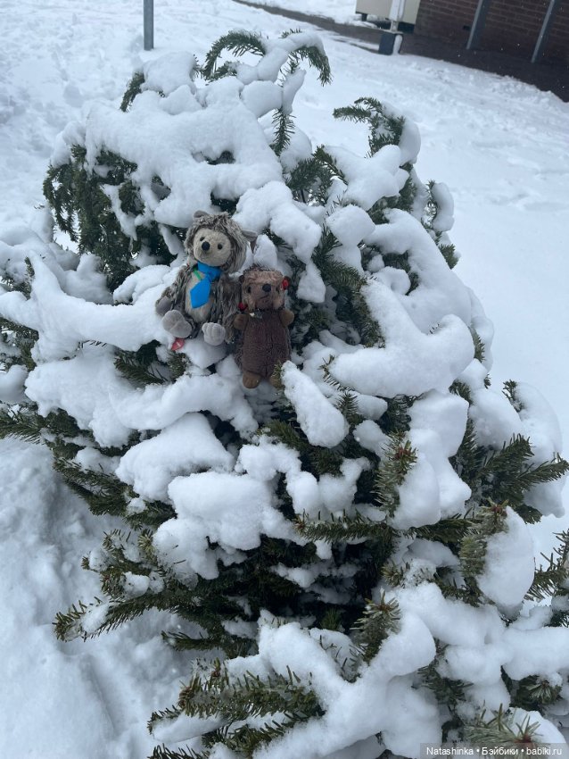 Музыкальная история 184 — Туризм и путешествия: фотоотчеты из поездок (фото 7)