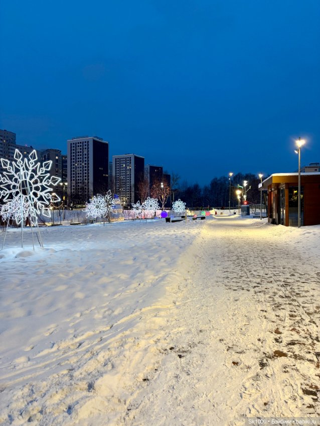 Вечерняя прогулка Лиз — Куклы Barbie (Барби): Looks