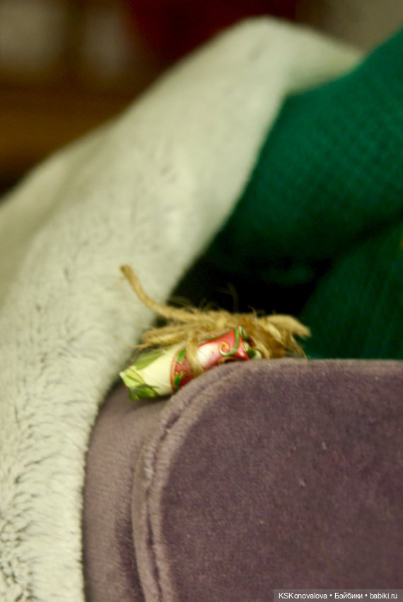 Семейный альбом. Лиз, Григ и Рождество (фото 2)