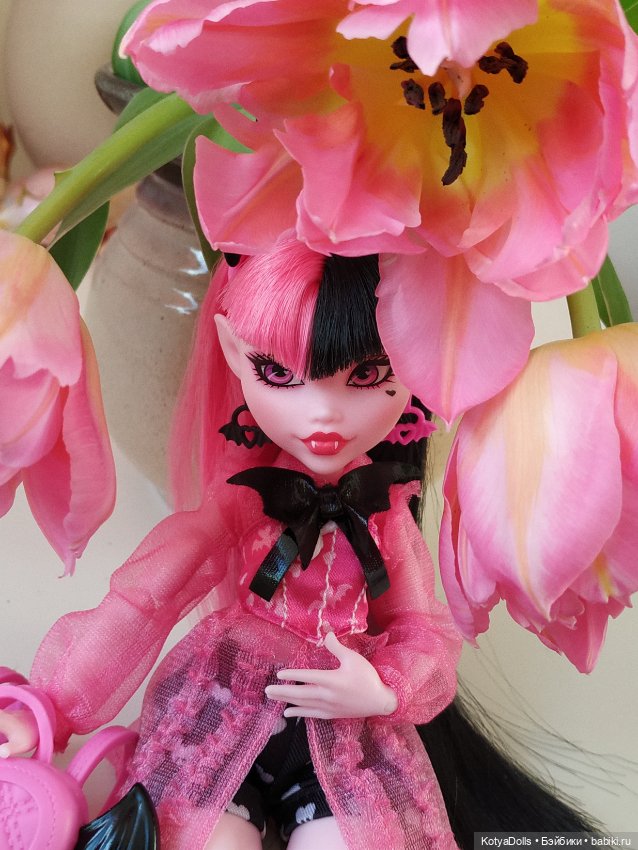 Все мои Монстряшки G3 — Куклы Monster High и Ever After High: G1