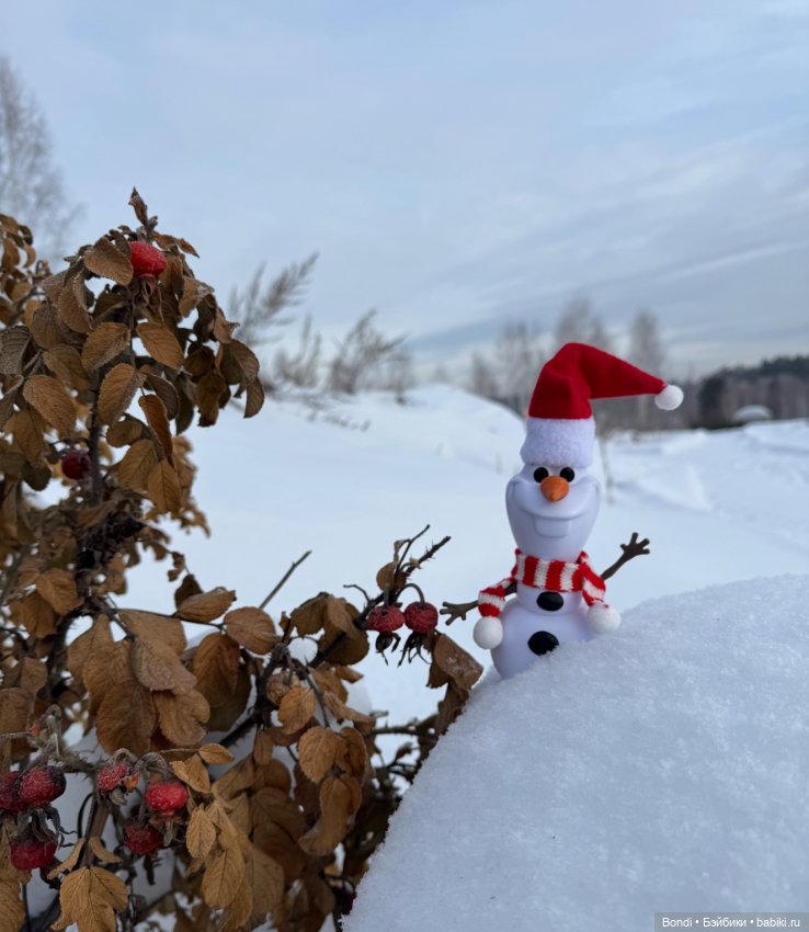 Зимняя прогулка с Олафом ☃️ (фото 6)