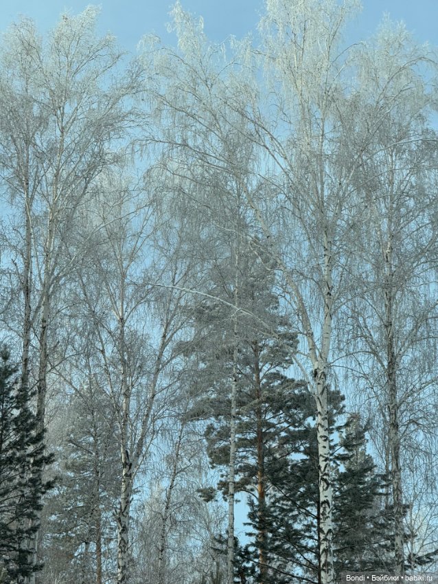 Зимняя прогулка с Олафом ☃️