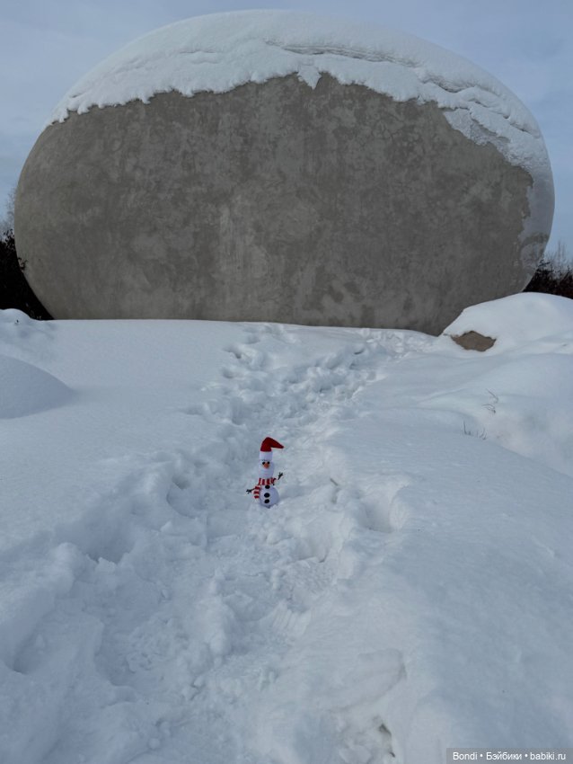 Зимняя прогулка с Олафом ☃️ (фото 2)