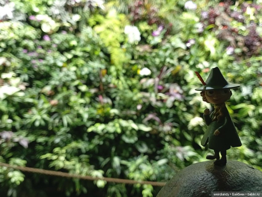 Снусмумрик во Владивостоке (фото 5)