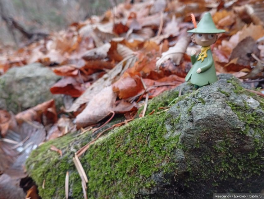 Снусмумрик во Владивостоке (фото 7)