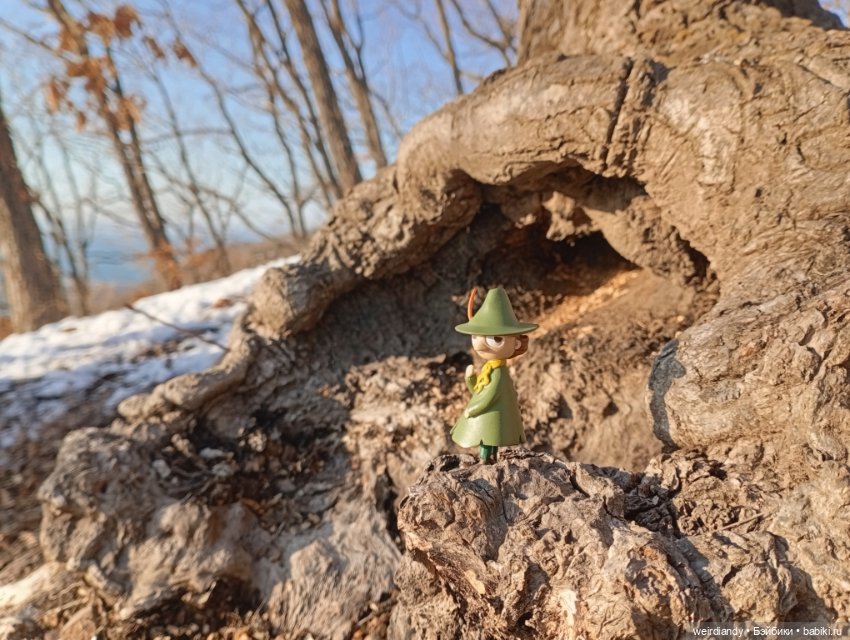 Снусмумрик во Владивостоке (фото 8)