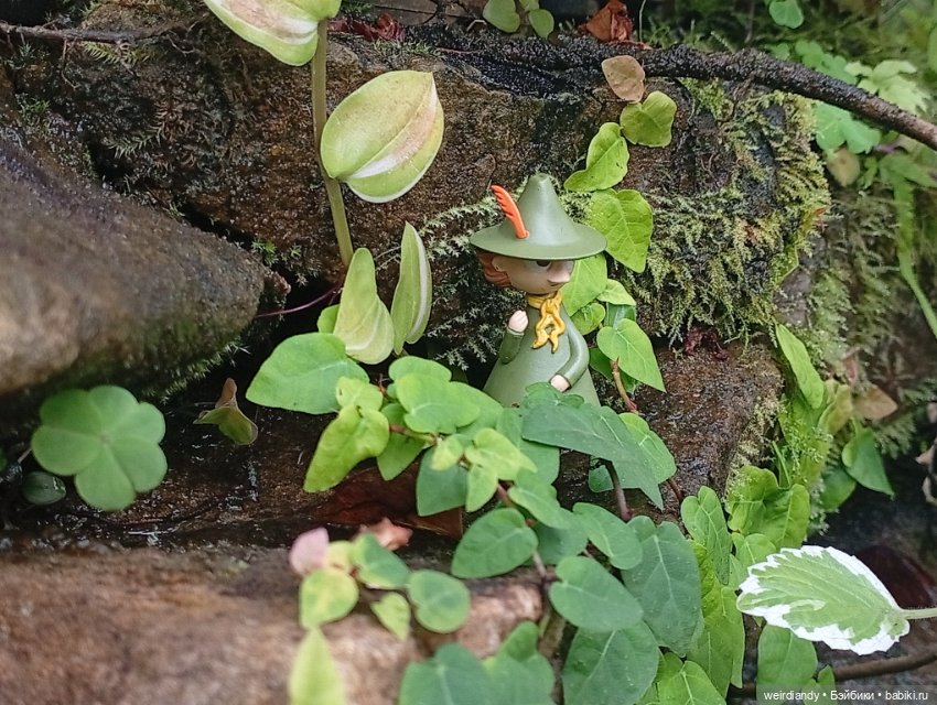 Снусмумрик во Владивостоке (фото 6)