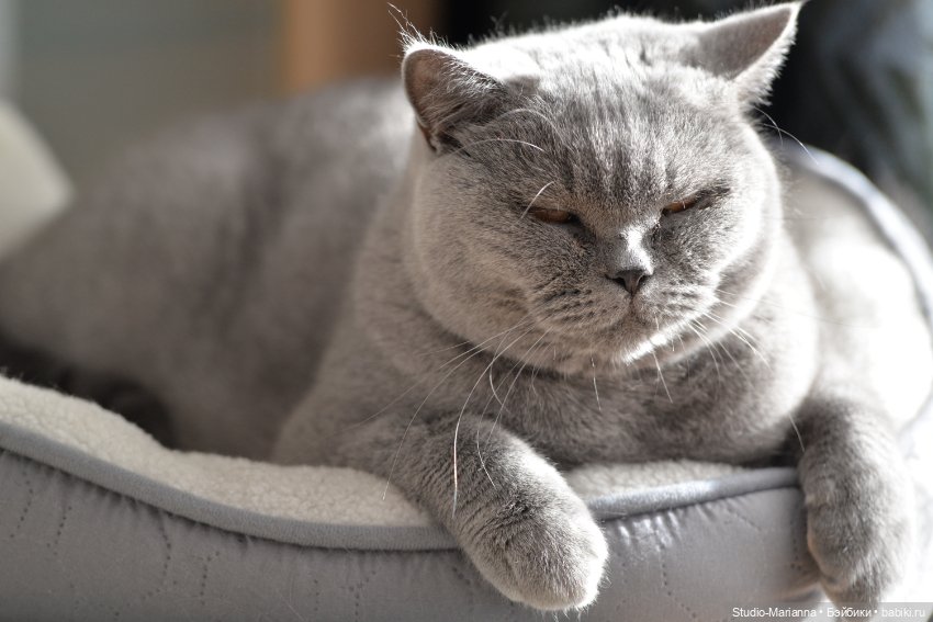 Химочки под елочкой. Часть 2