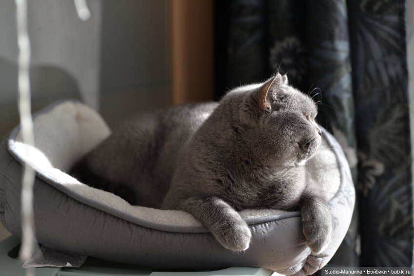 Химочки под елочкой. Часть 2