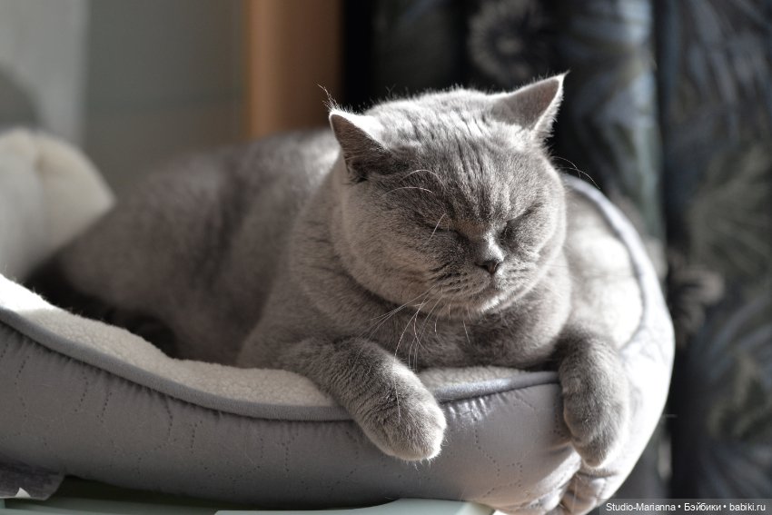 Химочки под елочкой. Часть 2