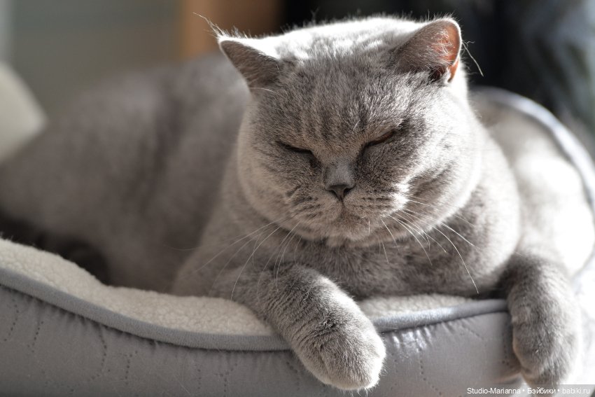 Химочки под елочкой. Часть 2