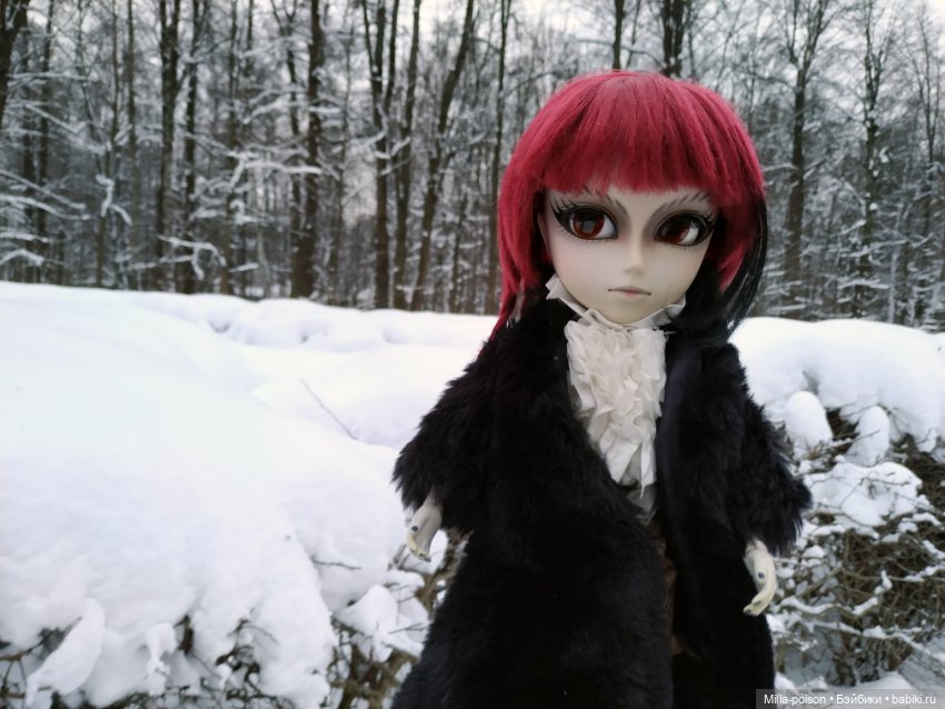 Хаято Кобаяси — Куклы Pullip (Пуллип)