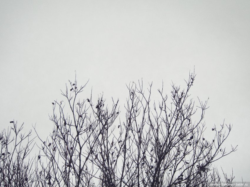 Куклы Gotz (Готц): Ханна