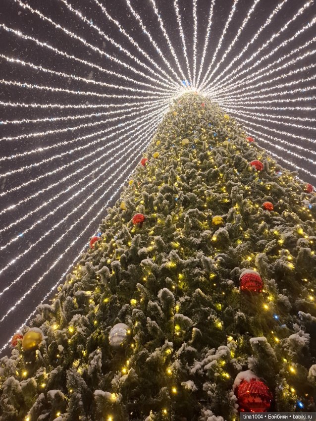 Новогодние костюмы — Куклы Ruby Red (Руби Ред) Fashion Friends: Siblies