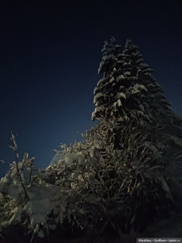 Снег, ёлочки и луна❄️🌲🌕 — Красивая природа и цветы: фото пейзажей (фото 4)