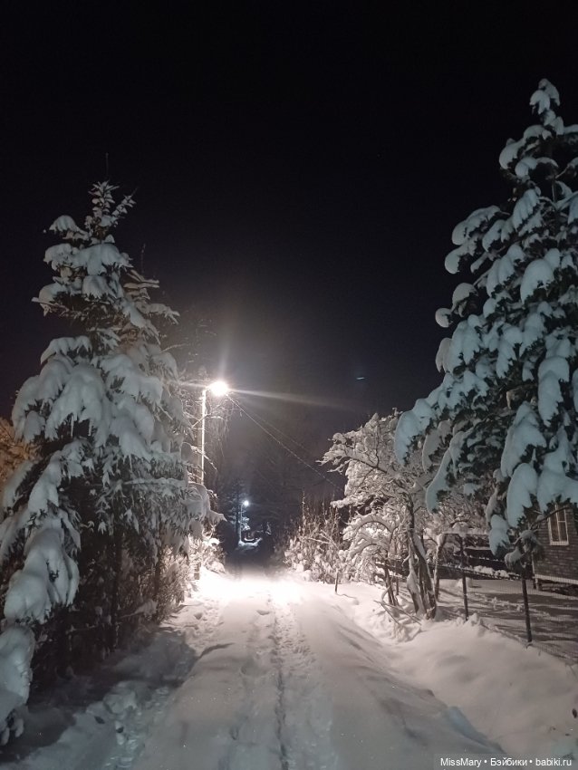 Снег, ёлочки и луна❄️🌲🌕 — Красивая природа и цветы: фото пейзажей (фото 7)