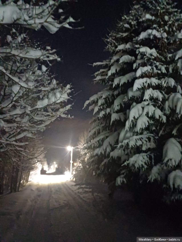 Снег, ёлочки и луна❄️🌲🌕 — Красивая природа и цветы: фото пейзажей