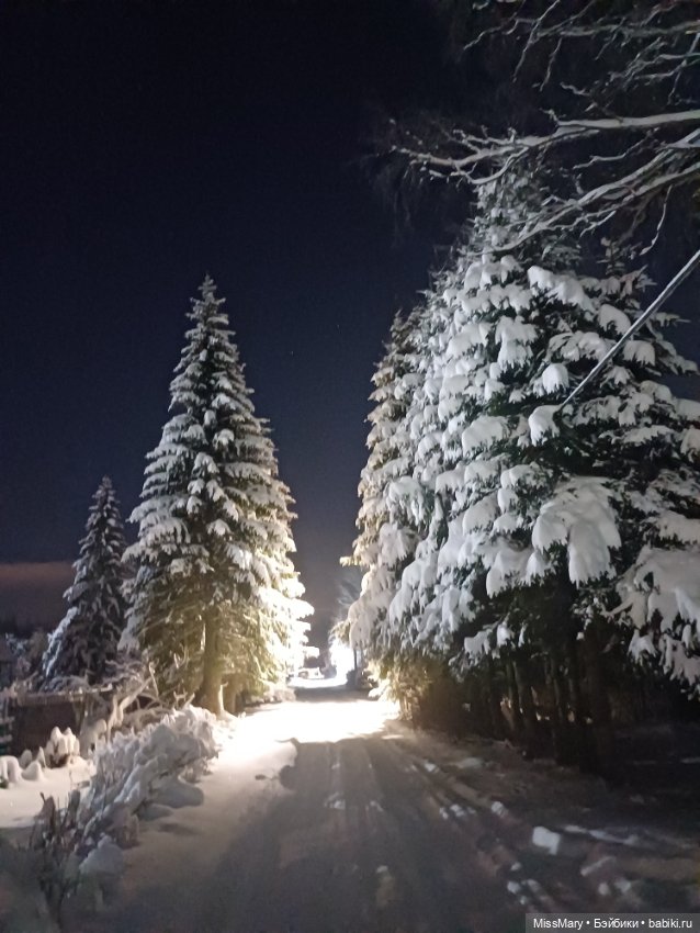 Снег, ёлочки и луна❄️🌲🌕 — Красивая природа и цветы: фото пейзажей (фото 5)