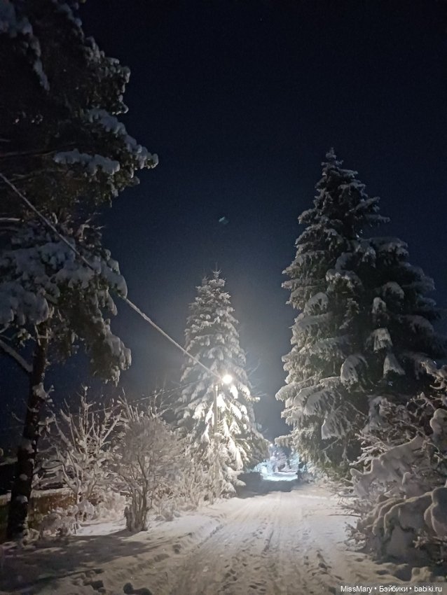Снег, ёлочки и луна❄️🌲🌕 — Красивая природа и цветы: фото пейзажей