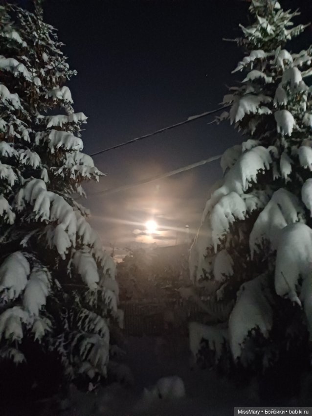 Снег, ёлочки и луна❄️🌲🌕 — Красивая природа и цветы: фото пейзажей (фото 9)