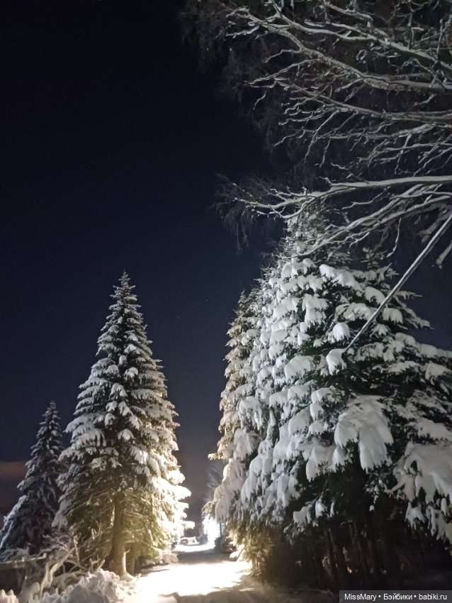 Снег, ёлочки и луна❄️🌲🌕 — Красивая природа и цветы: фото пейзажей (фото 6)