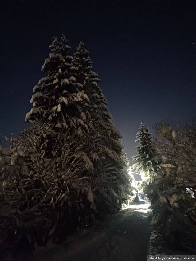 Снег, ёлочки и луна❄️🌲🌕 — Красивая природа и цветы: фото пейзажей (фото 2)
