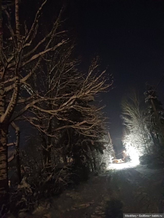 Снег, ёлочки и луна❄️🌲🌕 — Красивая природа и цветы: фото пейзажей (фото 3)