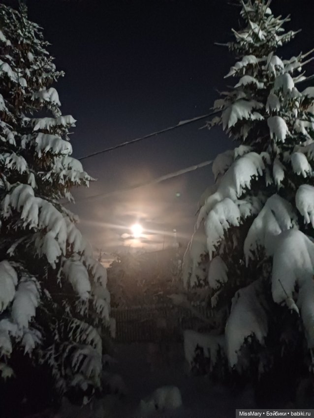 Снег, ёлочки и луна❄️🌲🌕 — Красивая природа и цветы: фото пейзажей (фото 10)