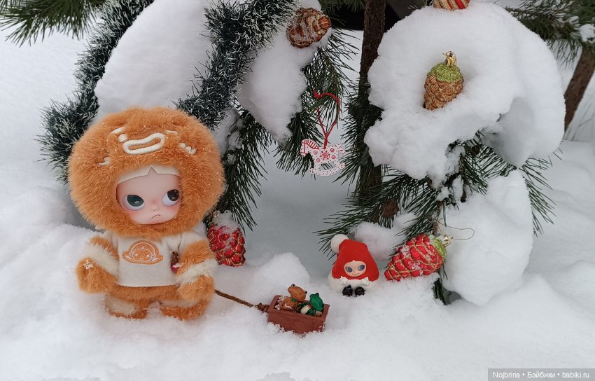 Вредный не вредный пряник, Zsiga Pop Mart