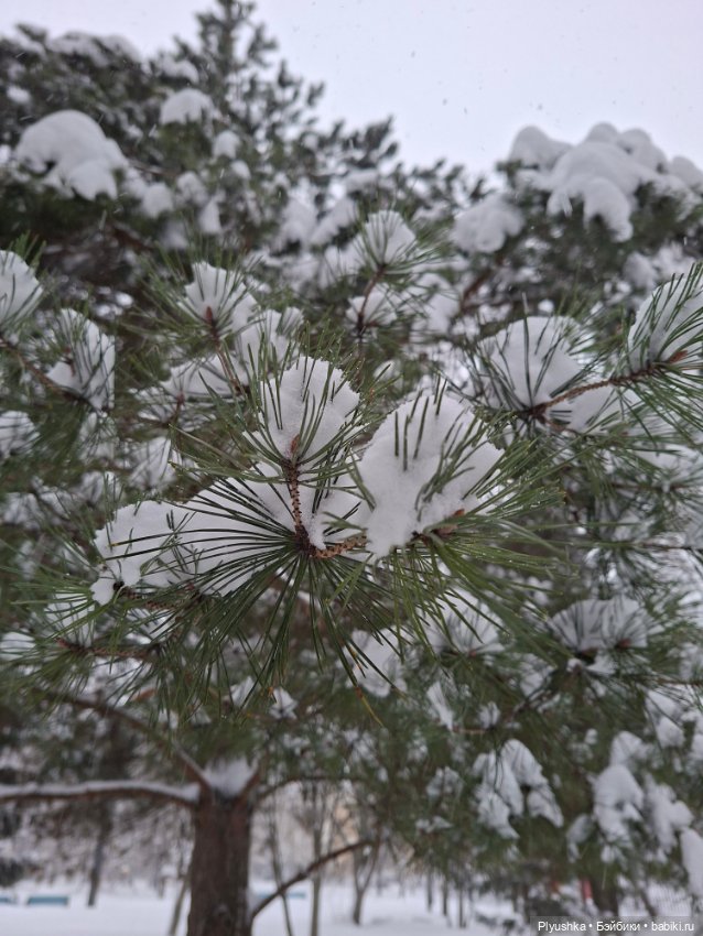 Зая, снегопад, парк ❅❅❅ — Куклы и тела UFdoll (ЮФдолл): Blind Box (фото 6)