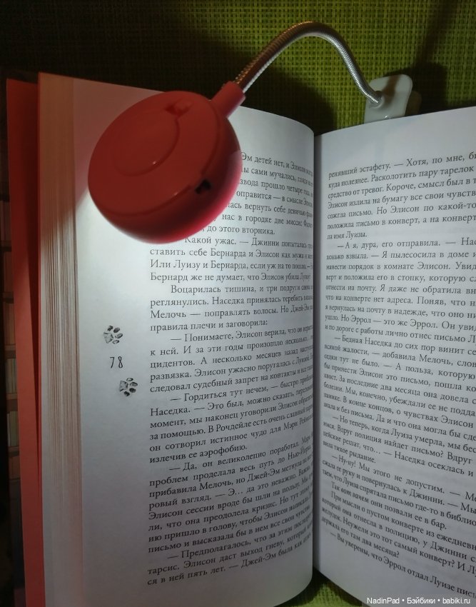 Книжный клуб Надин. Заседание шестое (фото 5)