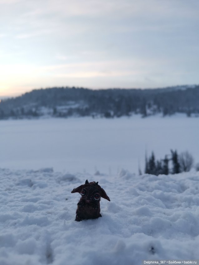 Первое путешествие Вари и Чудика (фото 4)