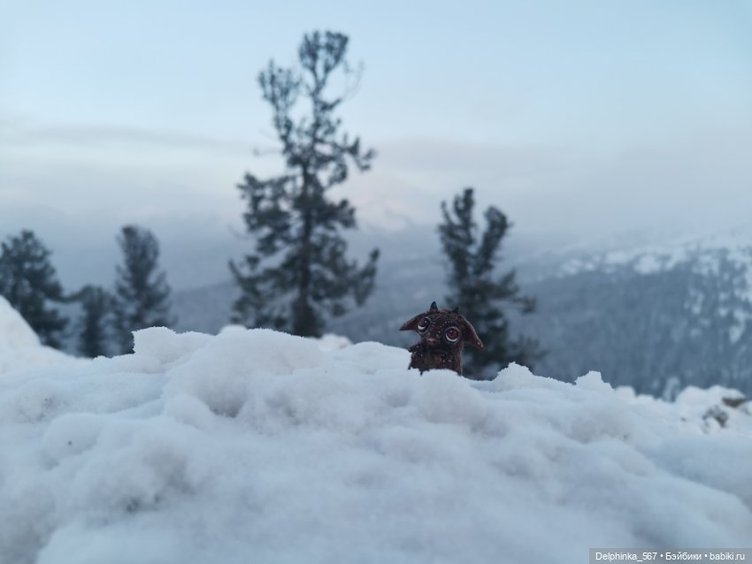 Первое путешествие Вари и Чудика (фото 2)